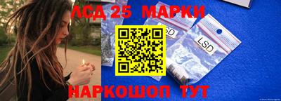 крисы Новозыбков