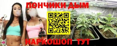 крисы Новозыбков