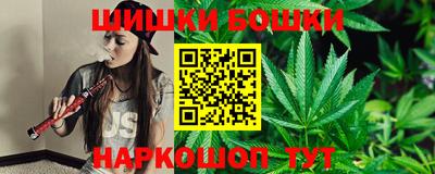 крисы Новозыбков