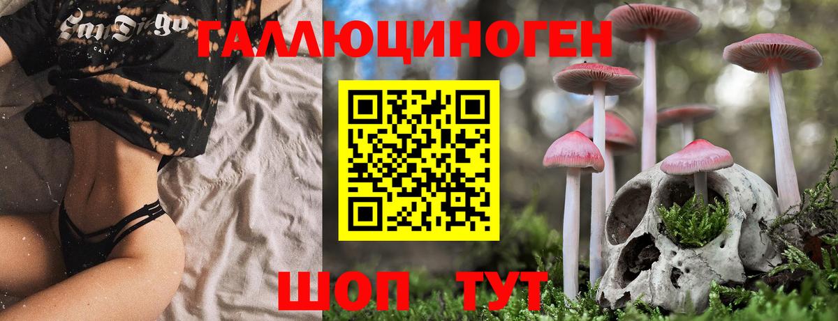 Псилоцибиновые грибы Psilocybe  Вход с VPN  Туймазы 