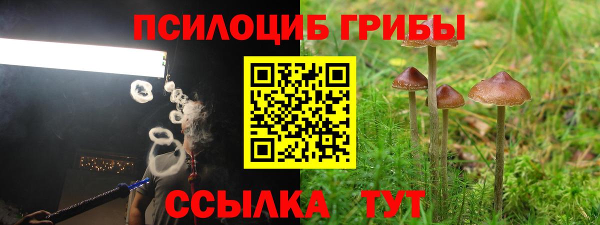Галлюциногенные грибы GOLDEN TEACHER Туймазы